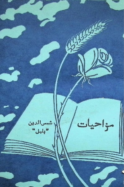 book image