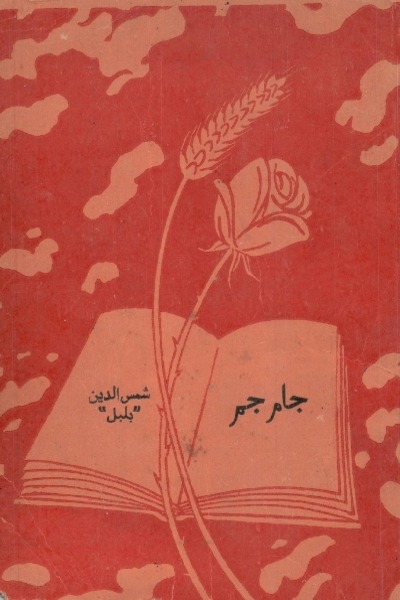 book image