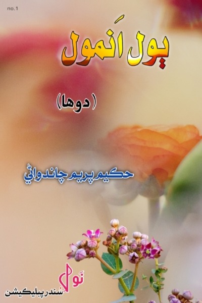 book image