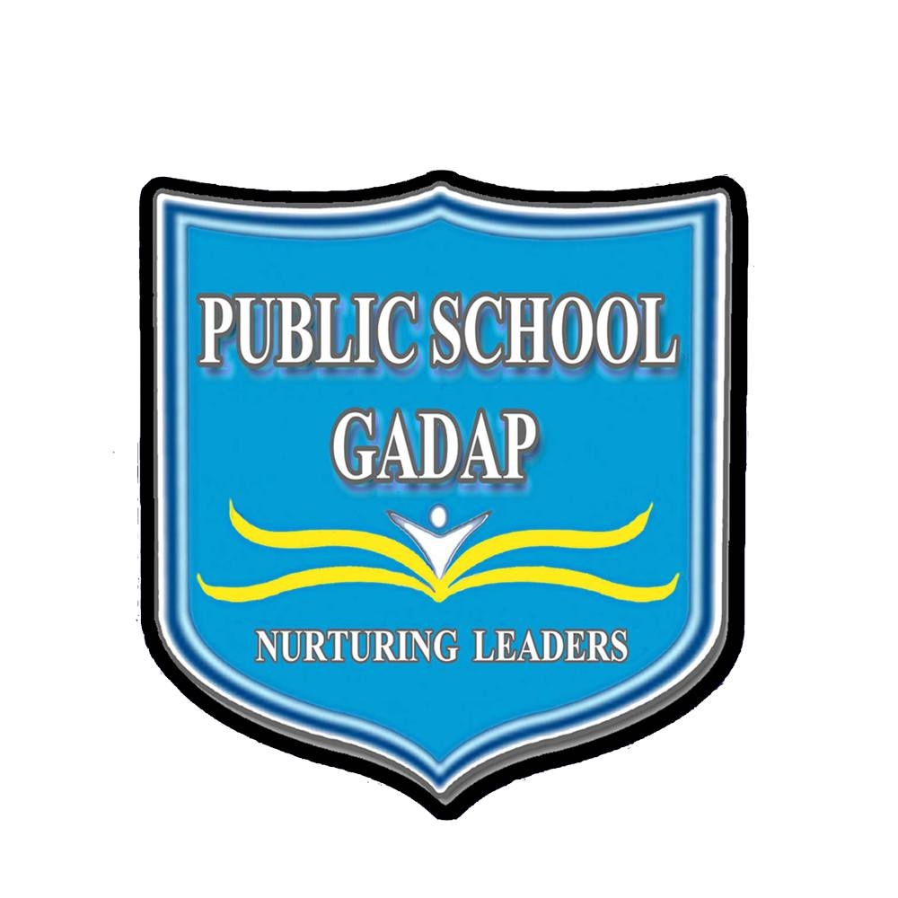 Public School Gadap logo